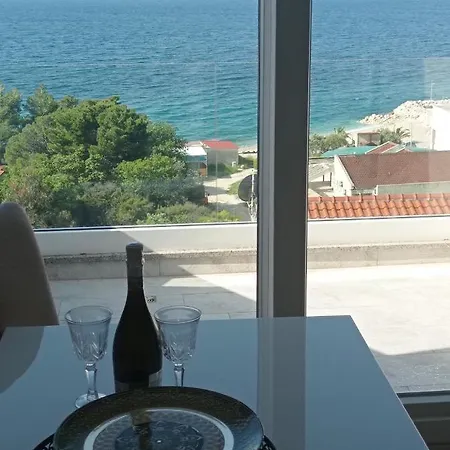 Visnja Živogošće