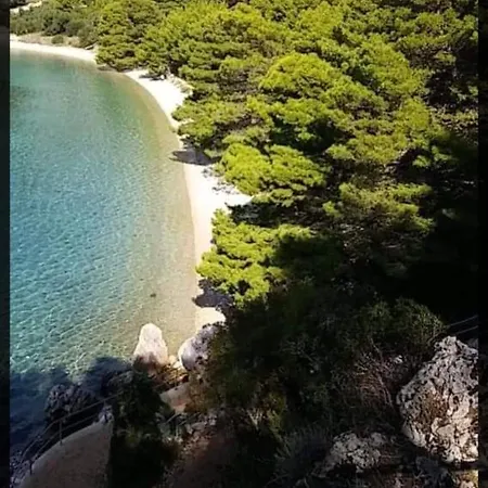 Visnja *